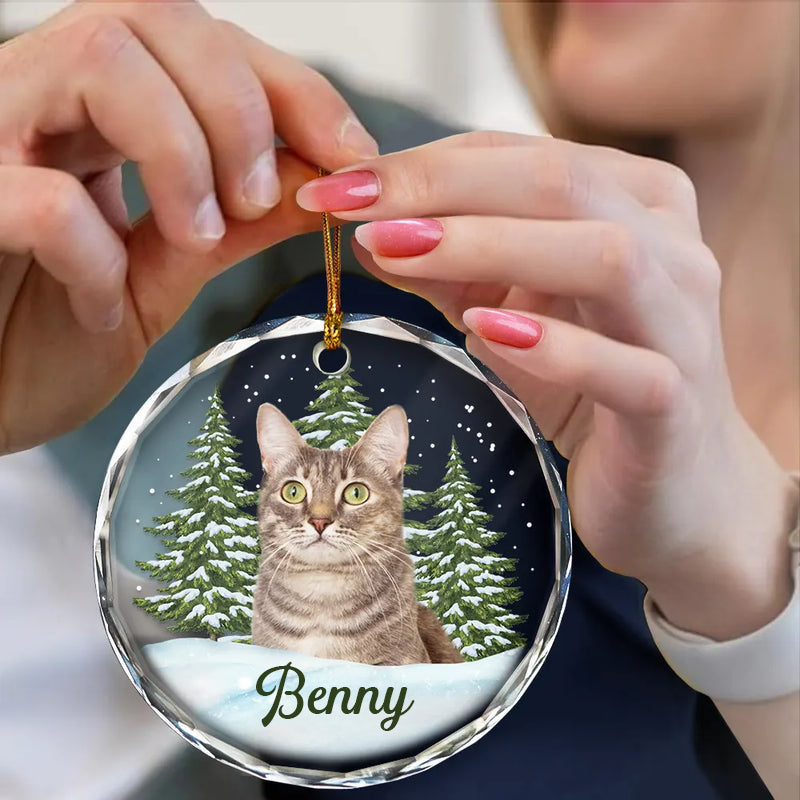 Ornement en verre personnalisé avec photo – Cadeau de Noël pour les amoureux des animaux