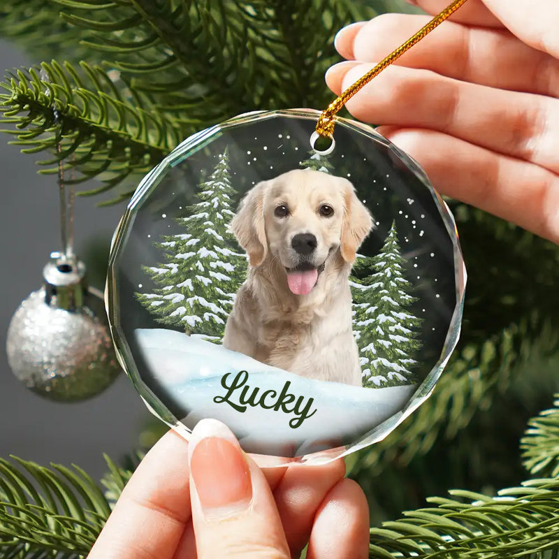 Ornement en verre personnalisé avec photo – Cadeau de Noël pour les amoureux des animaux