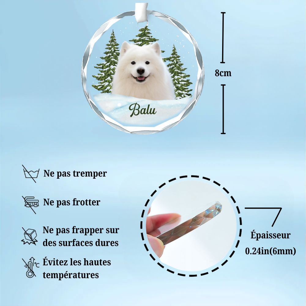 Ornement en verre personnalisé avec photo – Cadeau de Noël pour les amoureux des animaux