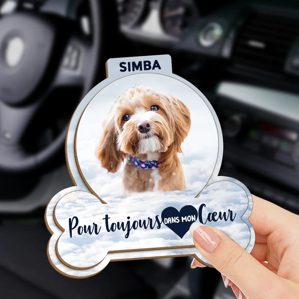 Clip pare-soleil avec photo – Cadeau commémoratif pour les propriétaires d’animaux