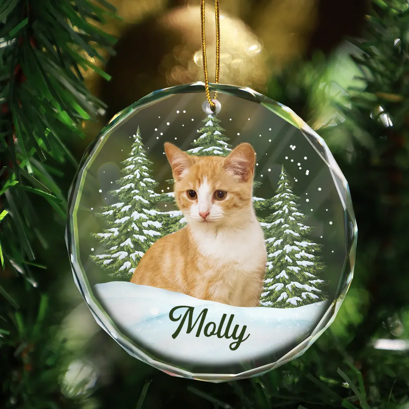 Ornement en verre personnalisé avec photo – Cadeau de Noël pour les amoureux des animaux