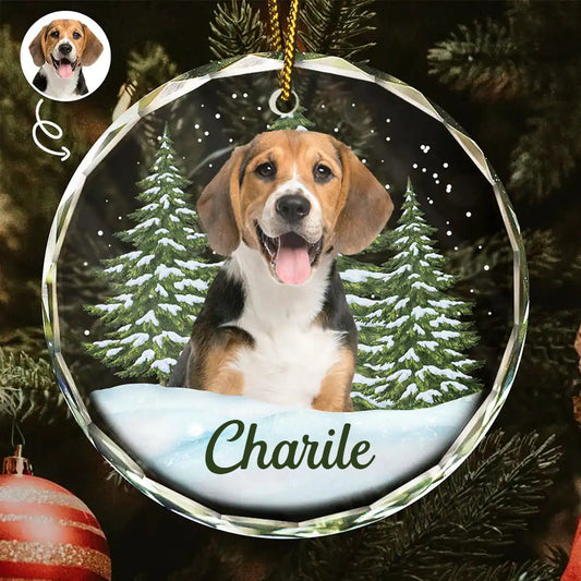 Ornement en verre personnalisé avec photo – Cadeau de Noël pour les amoureux des animaux