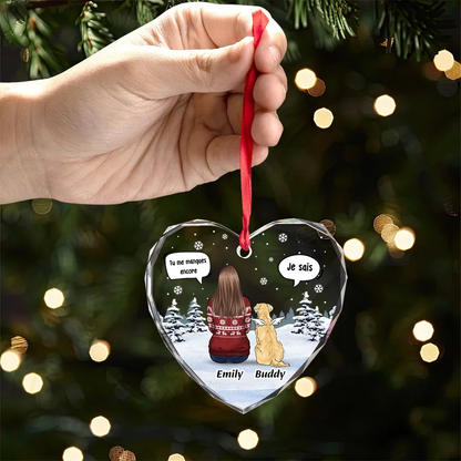 Pendentif en verre personnalisé Orement de Noël avec chien et chat Cadeau de condoléances pour animaux de compagnie