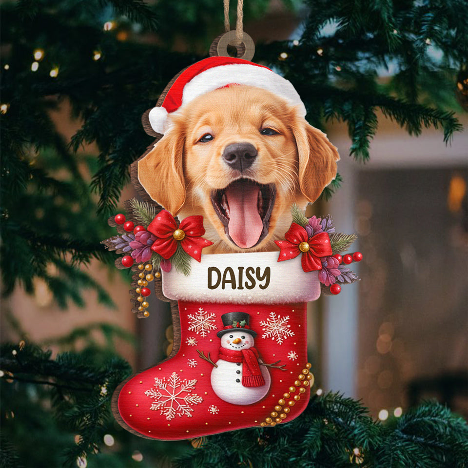 Ornement de Noël photo - Pour animaux de compagnie et famille