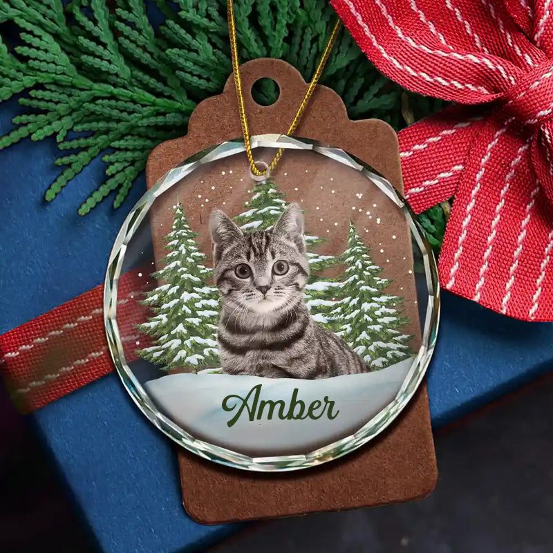 Ornement en verre personnalisé avec photo – Cadeau de Noël pour les amoureux des animaux