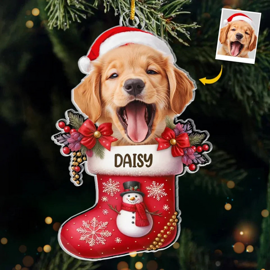 Ornement de Noël photo - Pour animaux de compagnie et famille